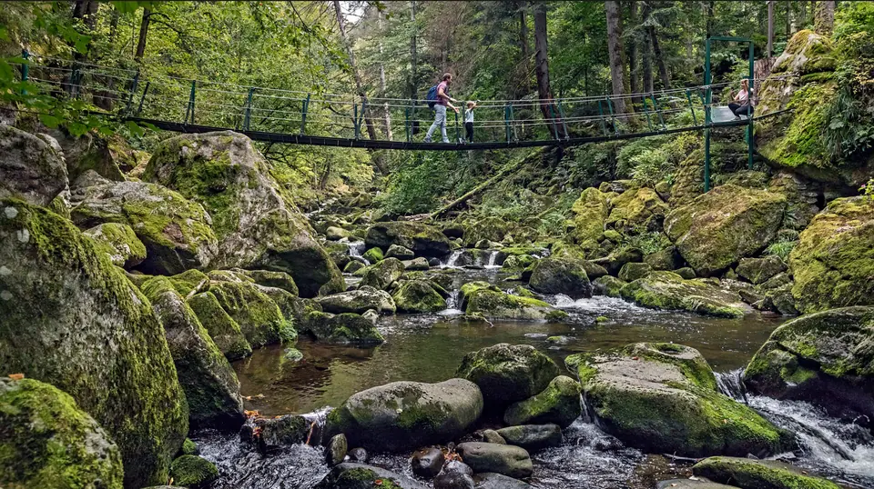 Wanderweg über eine Hängebrücke in der Buchberger Leite